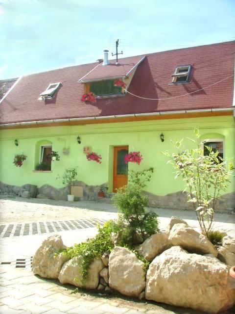 Гостевой дом Pension Flamingo Брашов-24