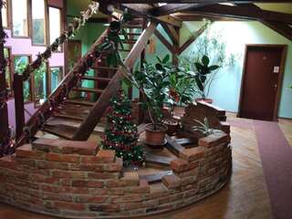 Гостевой дом Pension Flamingo Брашов-3