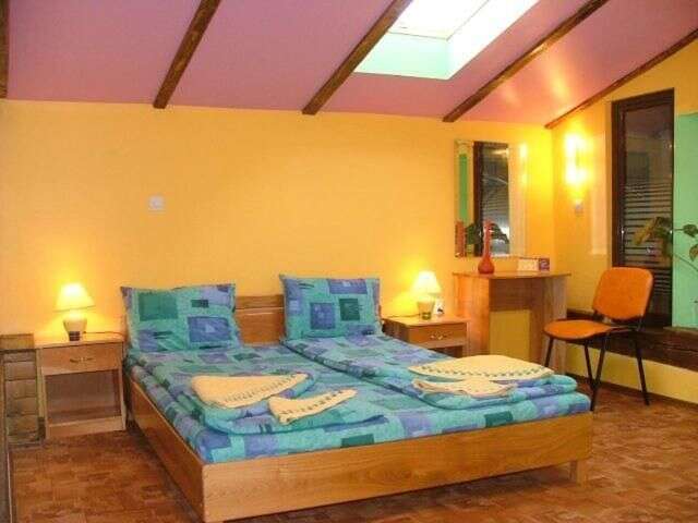 Гостевой дом Pension Flamingo Брашов-3