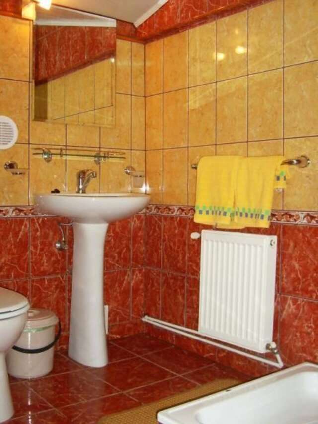 Гостевой дом Pension Flamingo Брашов-15