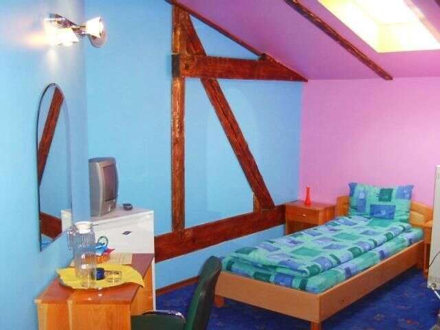 Гостевой дом Pension Flamingo Брашов-17