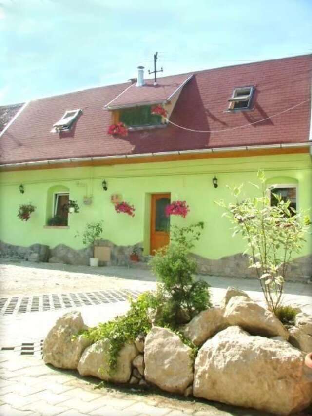 Гостевой дом Pension Flamingo Брашов-23