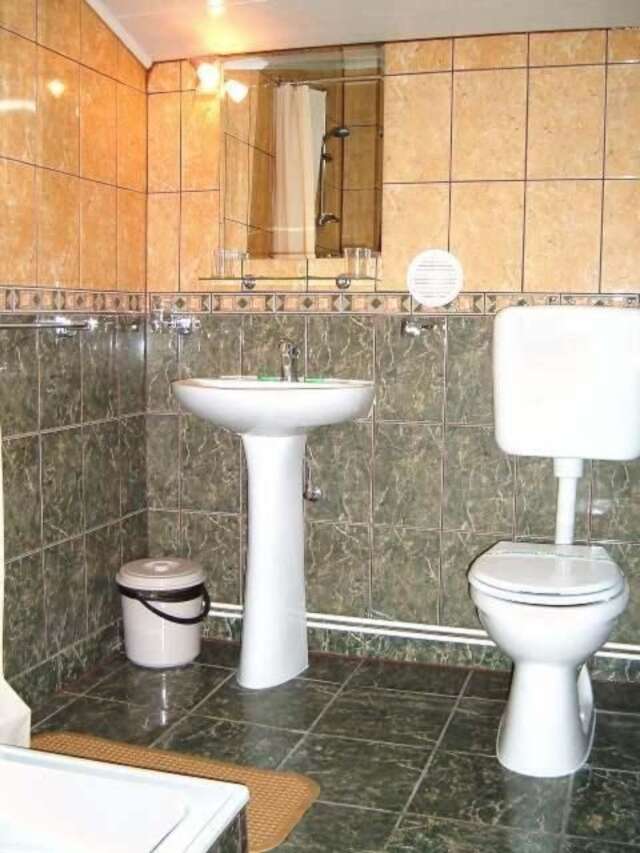 Гостевой дом Pension Flamingo Брашов-25