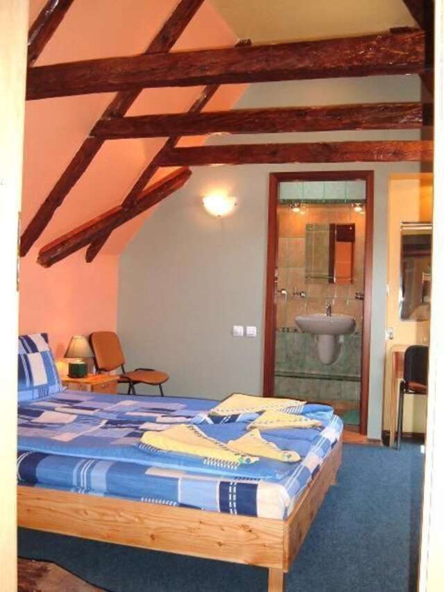 Гостевой дом Pension Flamingo Брашов-26