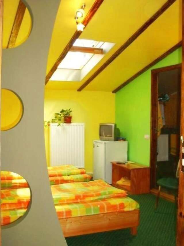 Гостевой дом Pension Flamingo Брашов-28