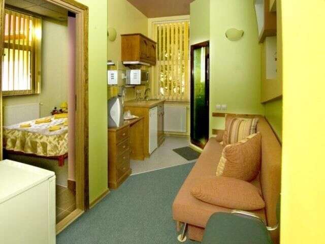 Гостевой дом Pension Flamingo Брашов-10